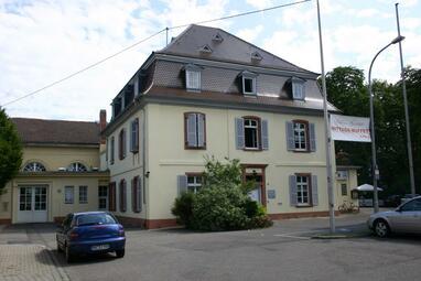 Vergrößerte Ansicht von diesem Bild