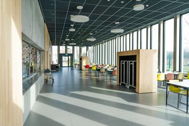 Vergrößerte Ansicht von diesem Bild