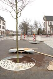 Vergrößerte Ansicht von Neue Pflanzbeete mit Bäumen