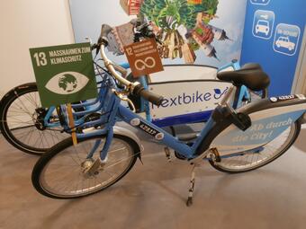 Vergrößerte Ansicht von diesem Bild