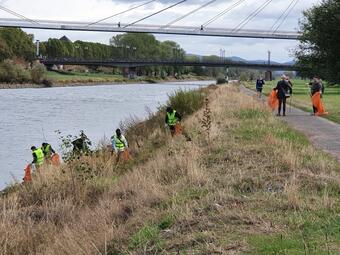 Vergrößerte Ansicht von diesem Bild
