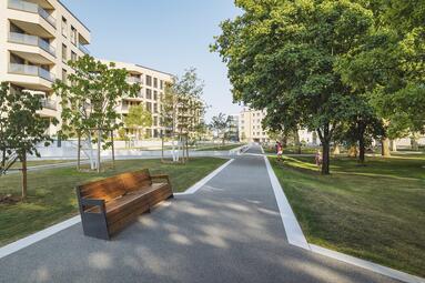 Vergrößerte Ansicht von Neu angelegte Wege durch den Park sind ganzjährig nutzbar und können auch mit dem Rollstuhl problemlos befahren werden.