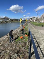 Vergrößerte Ansicht von diesem Bild