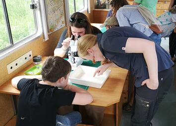 Vergrößerte Ansicht von diesem Bild