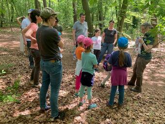 Vergrößerte Ansicht von Becherlupensafari im Käfertaler Wald