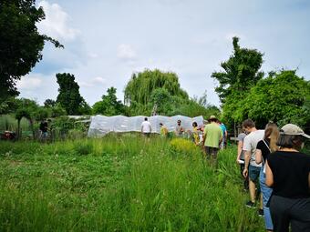 Vergrößerte Ansicht von IB Lehrgarten 