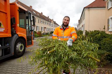 Vergrößerte Ansicht von diesem Bild