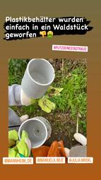 Vergrößerte Ansicht von diesem Bild