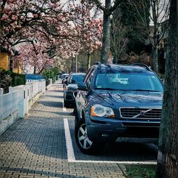 Vergrößerte Ansicht von diesem Bild