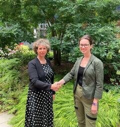 Vergrößerte Ansicht von diesem Bild