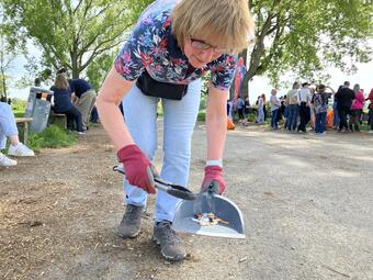 Vergrößerte Ansicht von diesem Bild