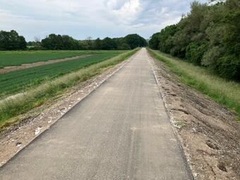 Vergrößerte Ansicht von An der Straße "Der hohe Weg zum Rhein" wurde 2024 der Radweg saniert. Der im Siedlungsgebiet Kirschgartshausen liegende Abschnitt ist Teil des Radwegenetzes „EuroVelo 15 – Rheinradweg“ und bildet mit dem neuen Oberflächenbelag einen wichtigen Lückenschluss der Radroute.