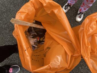 Vergrößerte Ansicht von diesem Bild