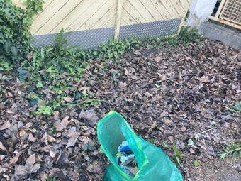 Vergrößerte Ansicht von diesem Bild