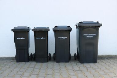 Vergrößerte Ansicht von diesem Bild