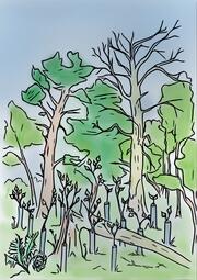 Vergrößerte Ansicht von diesem Bild