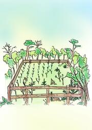 Vergrößerte Ansicht von diesem Bild