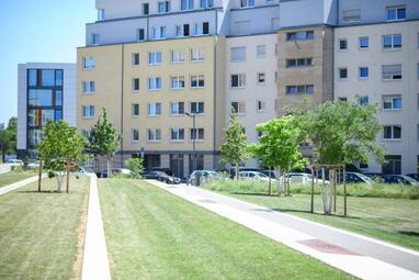 Vergrößerte Ansicht von Weg im Glückstein-Park, an den Seiten frisch gepflanzte Bäume, im Hintergrund Wohnhäuser
