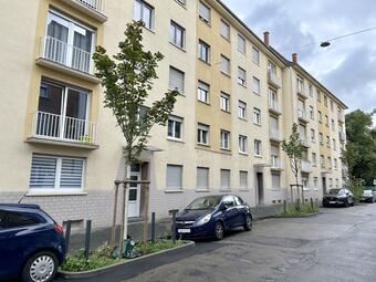 Vergrößerte Ansicht von In einer Straße stehen zwei frisch gepflanzte Bäume. Die Stämme sind weiß gestrichen und werden von einer Holzkonstruktion gestützt.