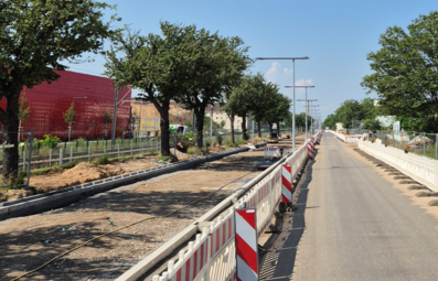 Vergrößerte Ansicht von diesem Bild