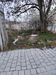 Vergrößerte Ansicht von Das Foto zeigt eine Grünfläche vor dem Aufräumen