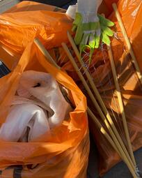 Vergrößerte Ansicht von Mann &amp; Schröder Cosmetics Group bzw. das Team der BRand we:care² reinigten auf dem Lindenhof