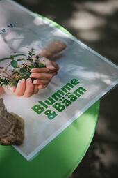 Vergrößerte Ansicht von diesem Bild