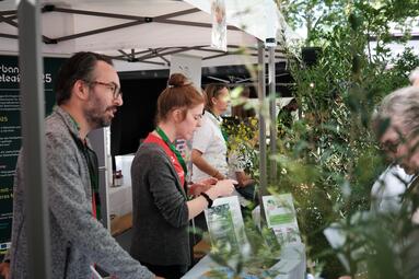 Vergrößerte Ansicht von diesem Bild