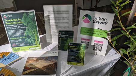 Vergrößerte Ansicht von diesem Bild