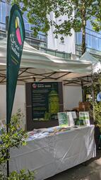 Vergrößerte Ansicht von diesem Bild