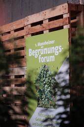 Vergrößerte Ansicht von diesem Bild