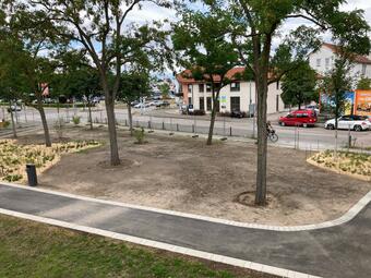 Vergrößerte Ansicht von diesem Bild