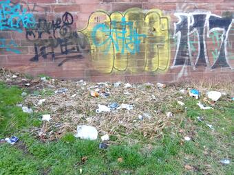 Vergrößerte Ansicht von Das Foto zeigt eine verschmutzte Grünfläche vor dem Aufräumen