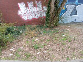 Vergrößerte Ansicht von Vor dem Aufräumen liegen Abfälle auf dem Boden