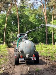 Vergrößerte Ansicht von diesem Bild