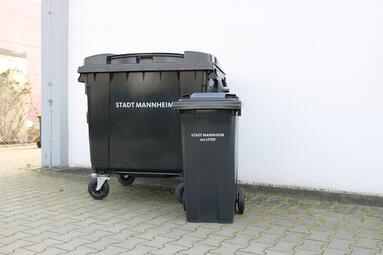 Vergrößerte Ansicht von diesem Bild