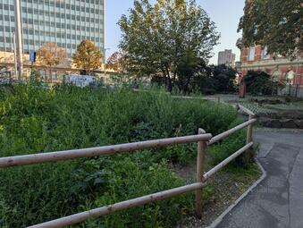 Vergrößerte Ansicht von diesem Bild