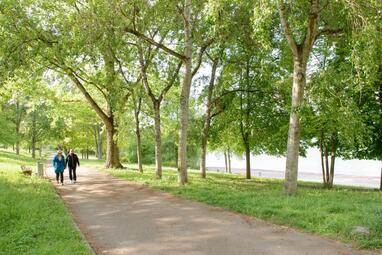 Vergrößerte Ansicht von Am Vogelstang-See führt ein Weg entlang. Bäume am Wegesrand. Auf dem Weg spazieren zwei Menschen.