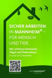 Vergrößerte Ansicht von diesem Bild