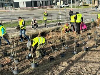 Vergrößerte Ansicht von diesem Bild