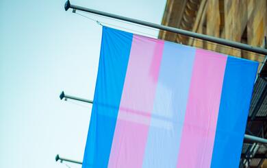 Trans*Aktionswochen: Beflaggung Rathaus