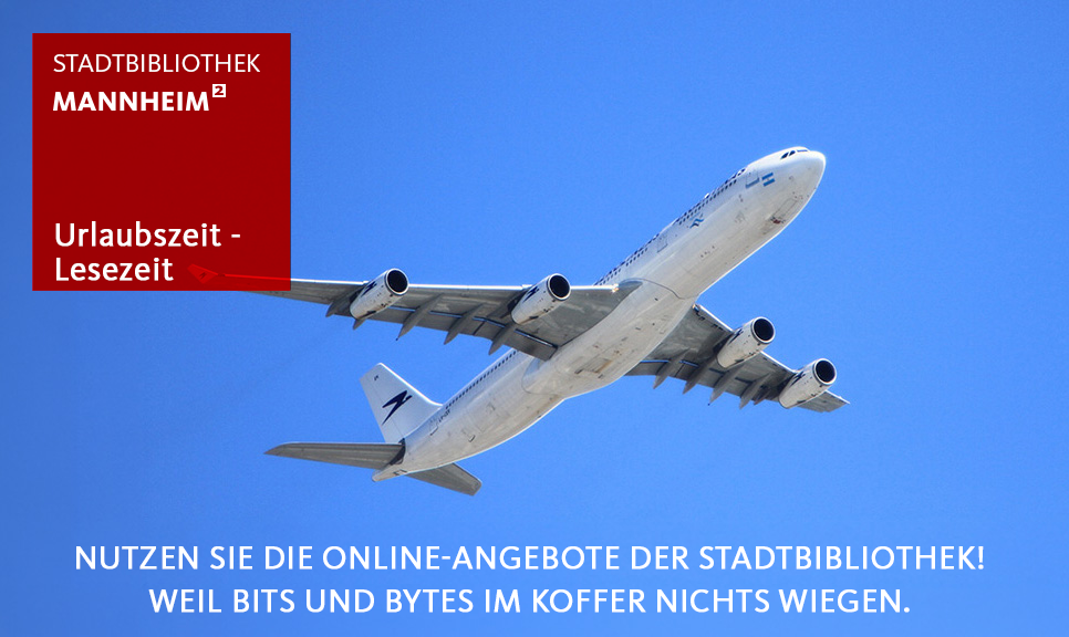 Reiseflieger im blauen Himmel