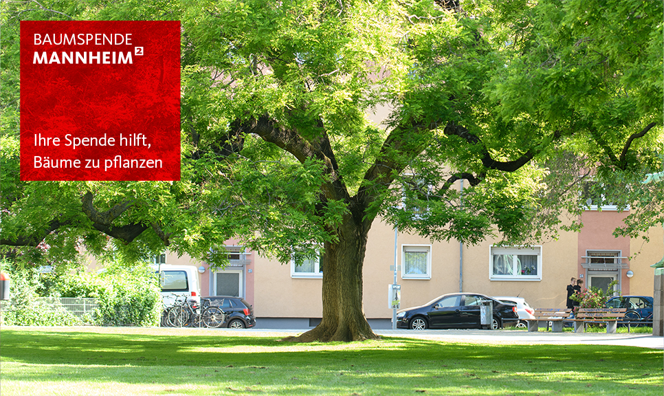 Ein Baum