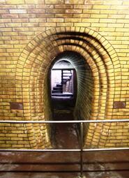 Vergrößerte Ansicht von 