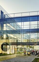 Vergrößerte Ansicht von 