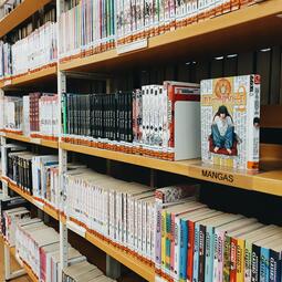 Vergrößerte Ansicht von Fotos einer Regalreihe voller Mangas