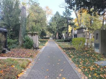 Vergrößerte Ansicht von 