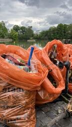 Vergrößerte Ansicht von diesem Bild