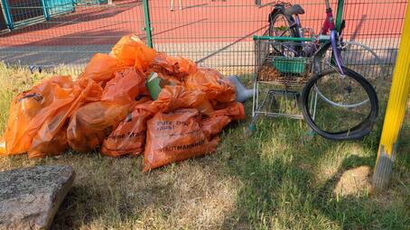 Vergrößerte Ansicht von Das Foto zeigt den in Säcken gesammelten Müll der Reinigungsaktion im Herzogenried.