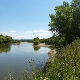 Vergrößerte Ansicht von Unterer Neckar Wörthel 